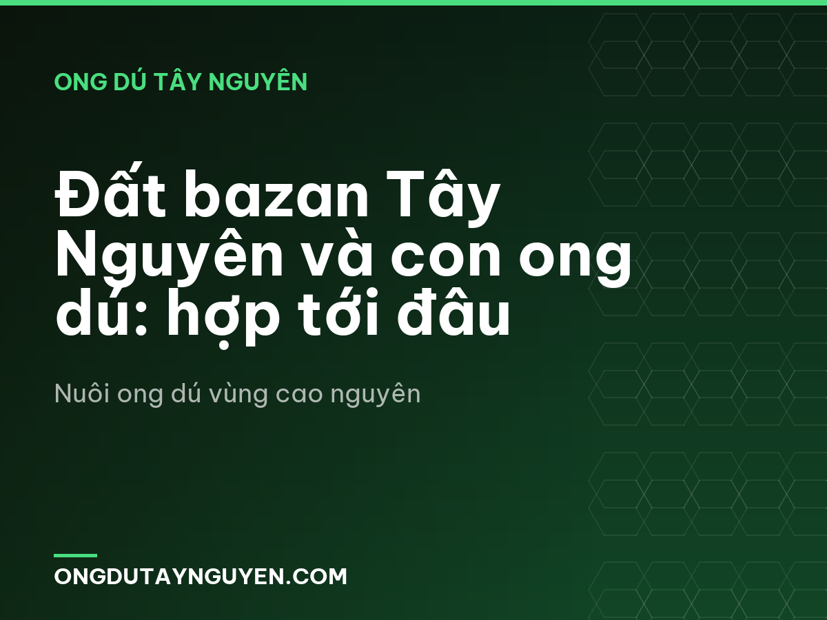 Đất bazan Tây Nguyên và con ong dú: hợp tới đâu