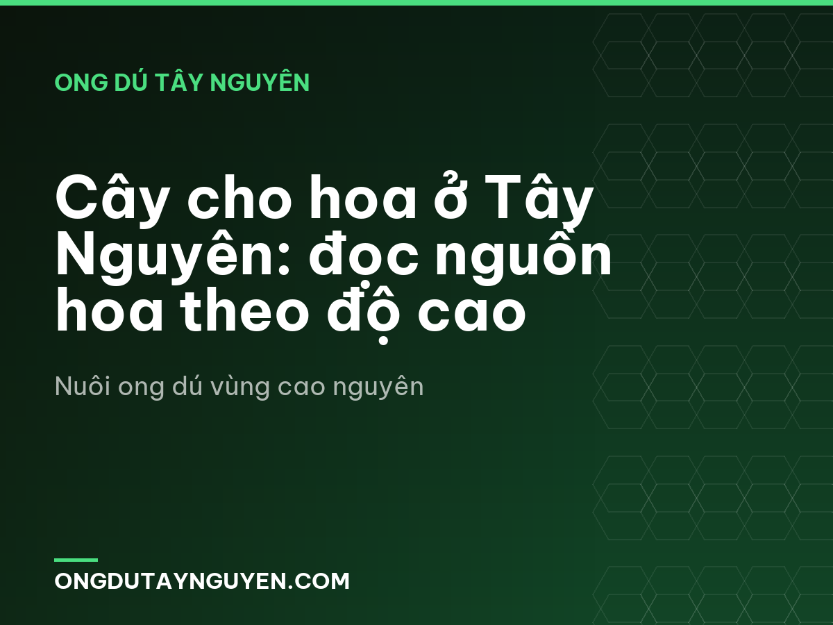 Cây cho hoa ở Tây Nguyên: đọc nguồn hoa theo độ cao