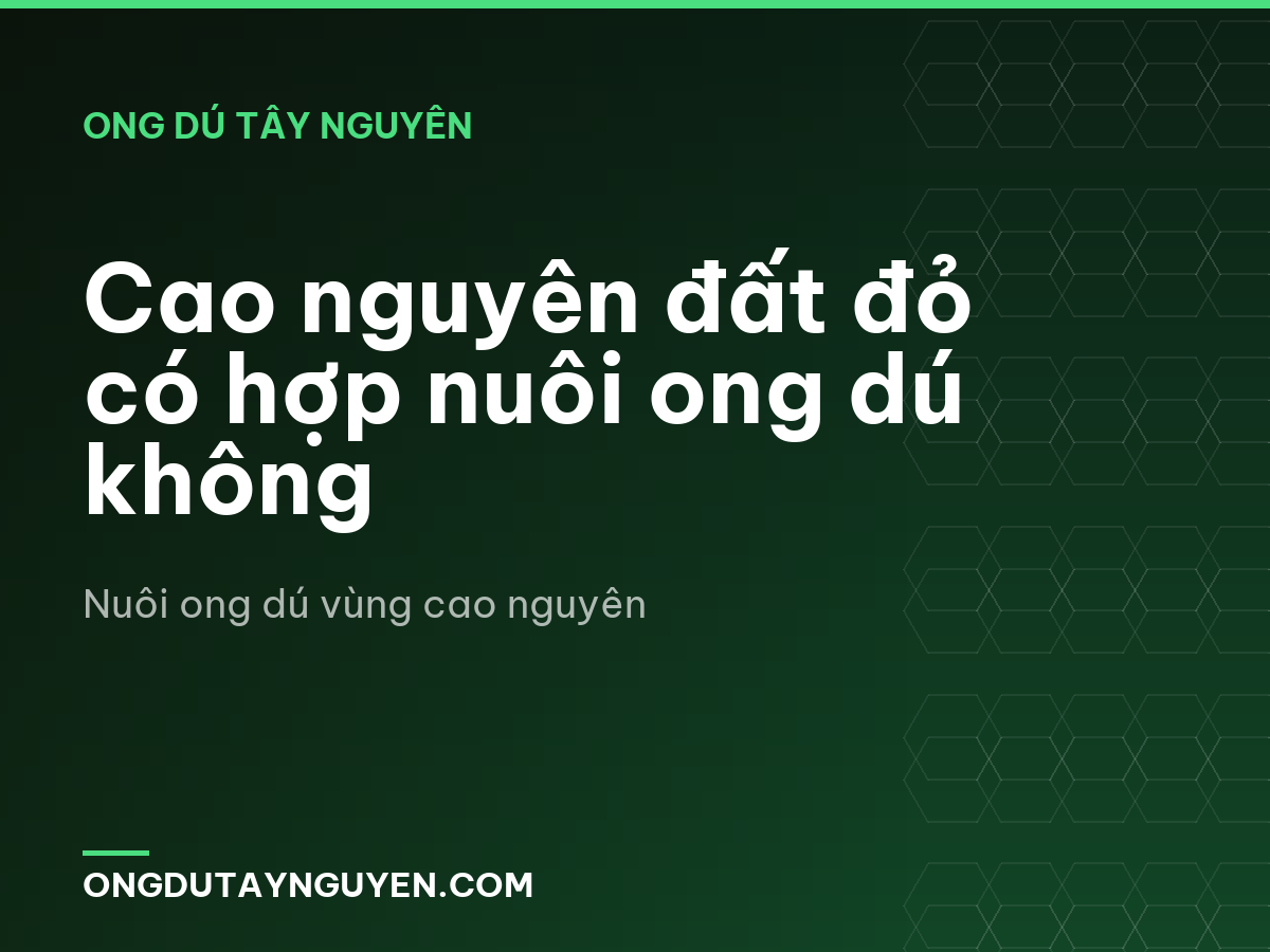 Cao nguyên đất đỏ có hợp nuôi ong dú không