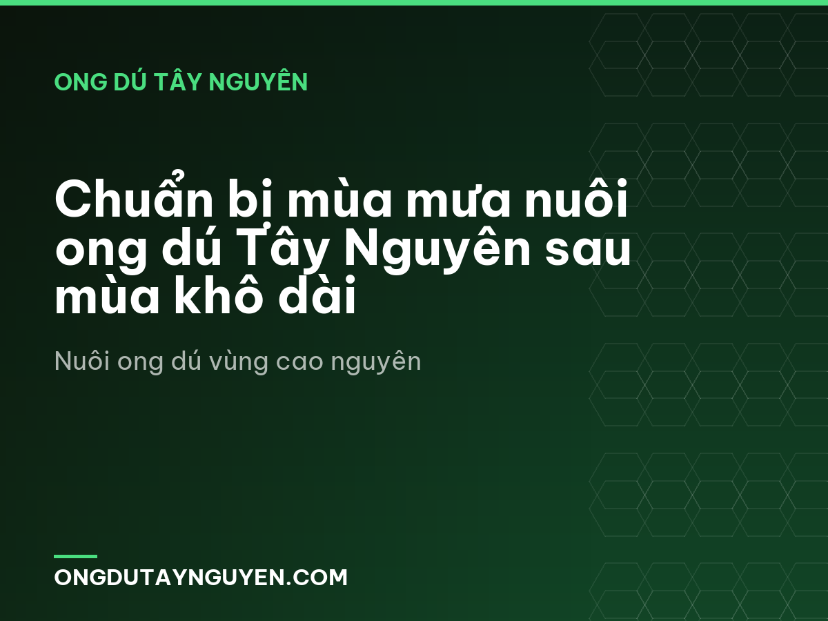 Chuẩn bị mùa mưa nuôi ong dú Tây Nguyên sau mùa khô dài