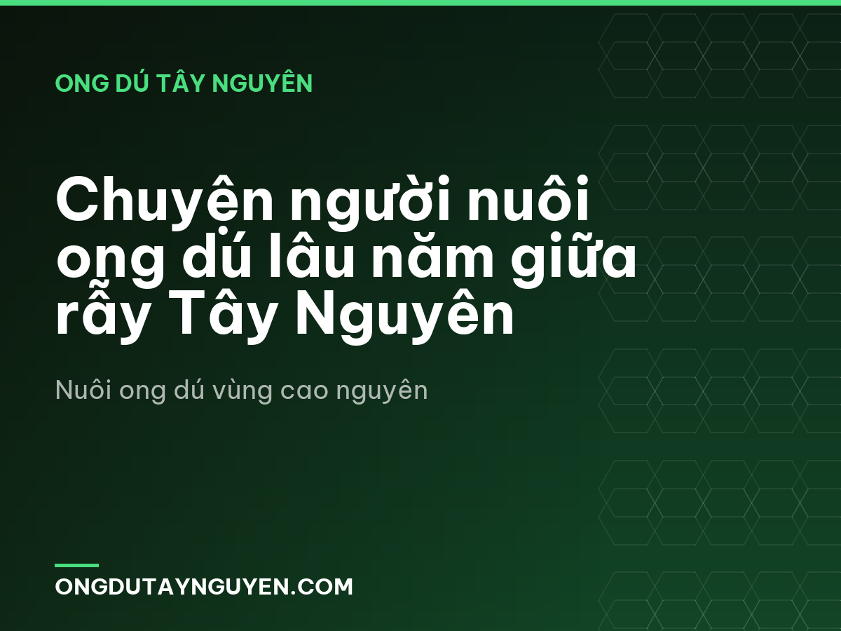 Chuyện người nuôi ong dú lâu năm giữa rẫy Tây Nguyên