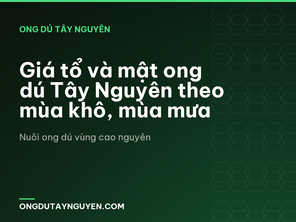 Giá tổ và mật ong dú Tây Nguyên theo mùa khô, mùa mưa