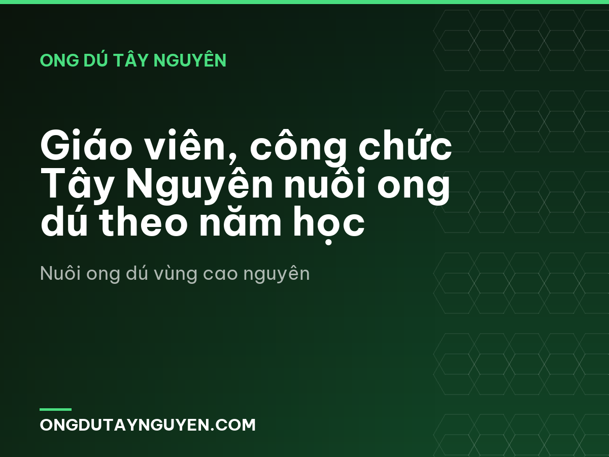Giáo viên, công chức Tây Nguyên nuôi ong dú theo năm học