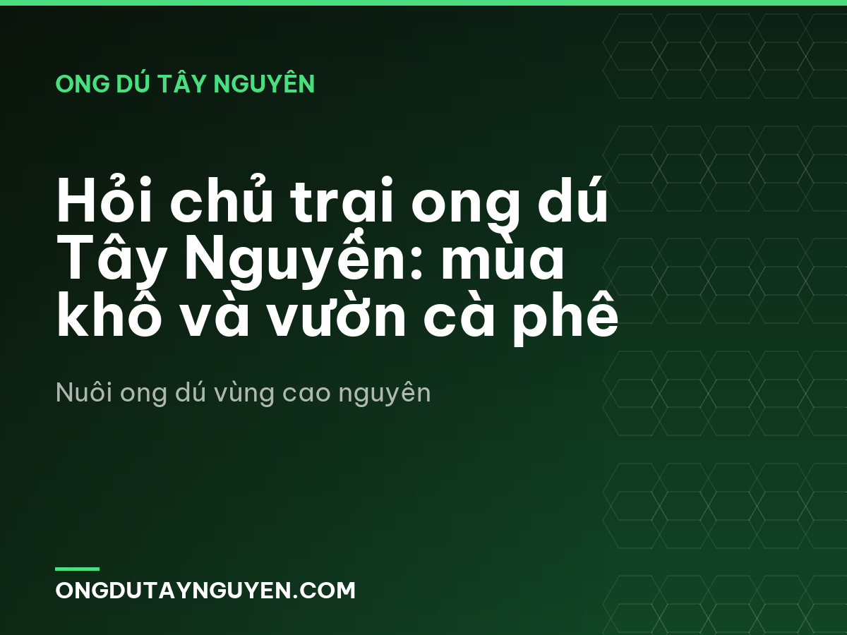 Hỏi chủ trại ong dú Tây Nguyên: mùa khô và vườn cà phê