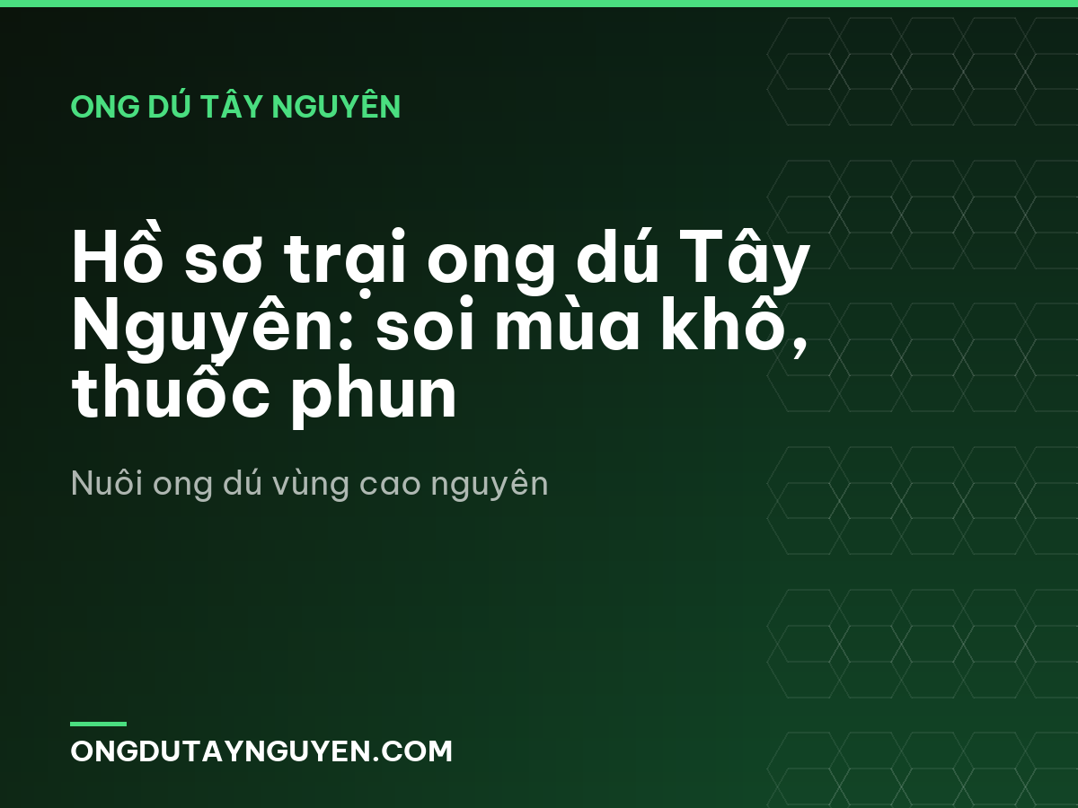 Hồ sơ trại ong dú Tây Nguyên: soi mùa khô, thuốc phun