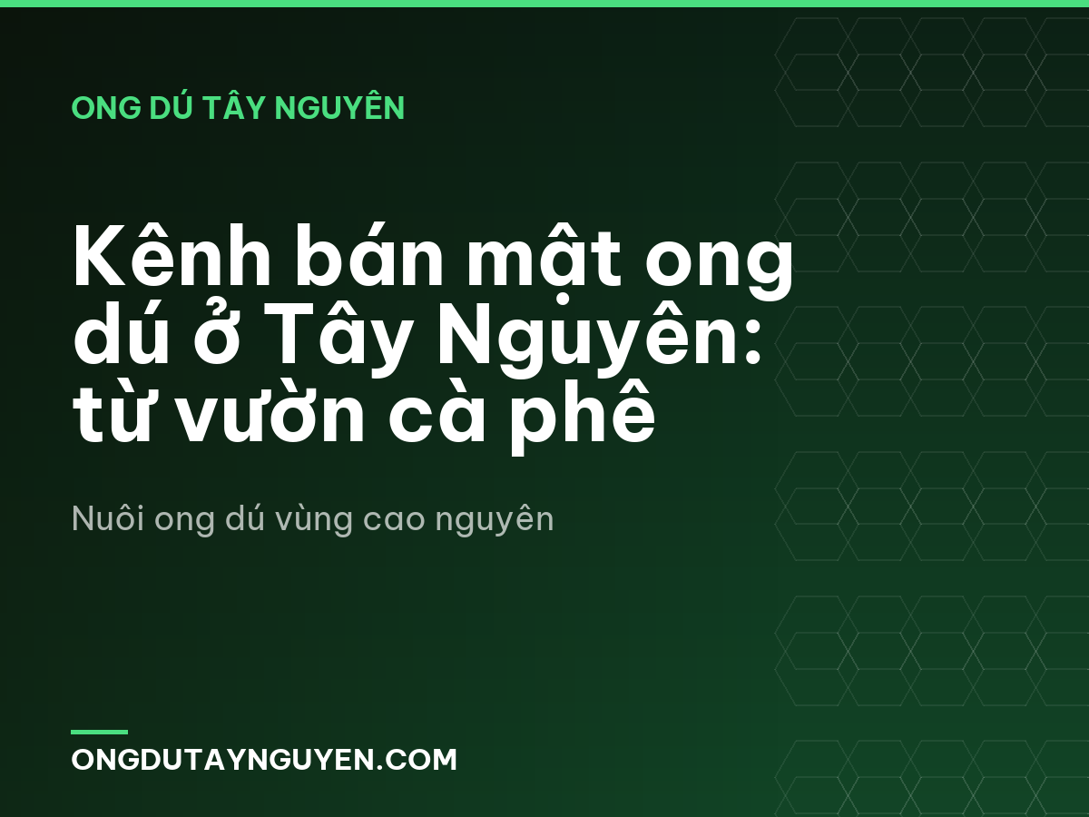 Kênh bán mật ong dú ở Tây Nguyên: từ vườn cà phê