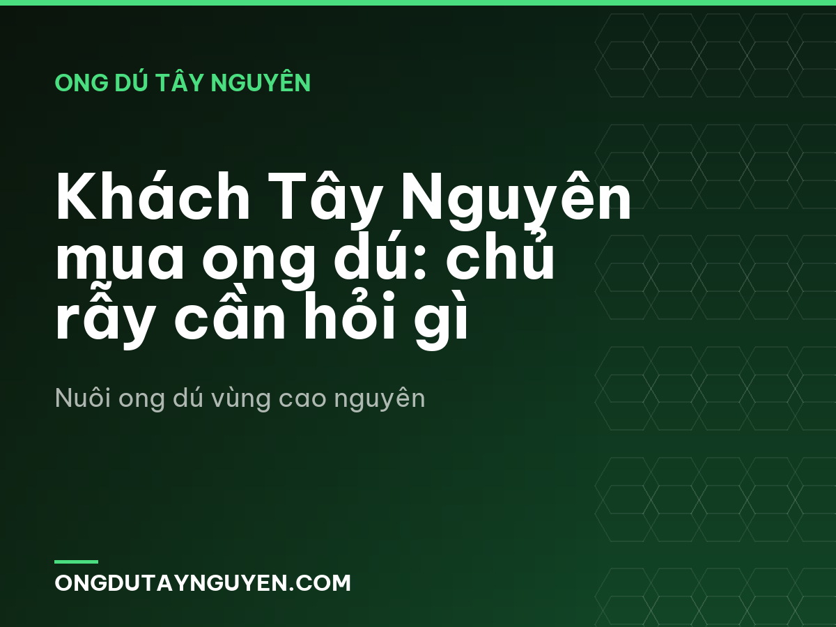 Khách Tây Nguyên mua ong dú: chủ rẫy cần hỏi gì