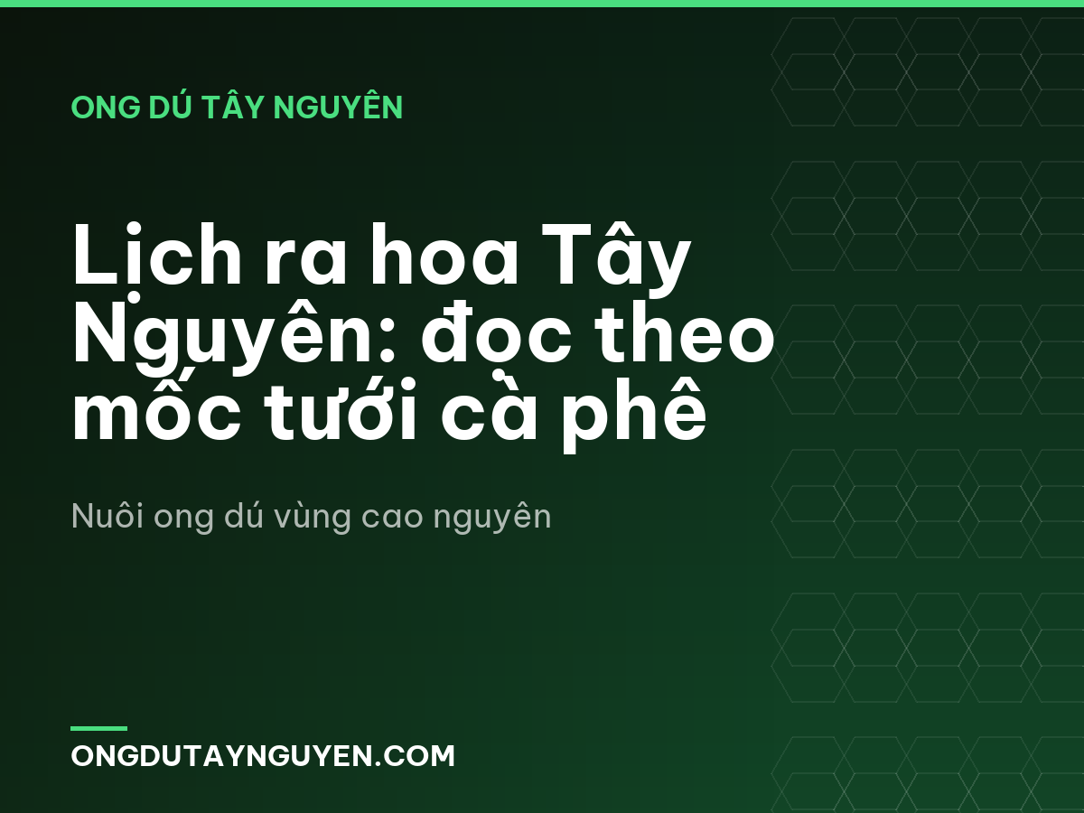 Lịch ra hoa Tây Nguyên: đọc theo mốc tưới cà phê