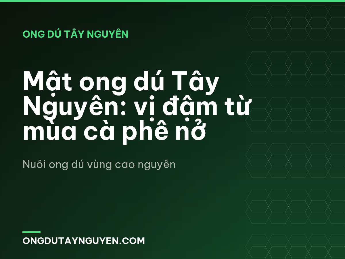 Mật ong dú Tây Nguyên: vị đậm từ mùa cà phê nở