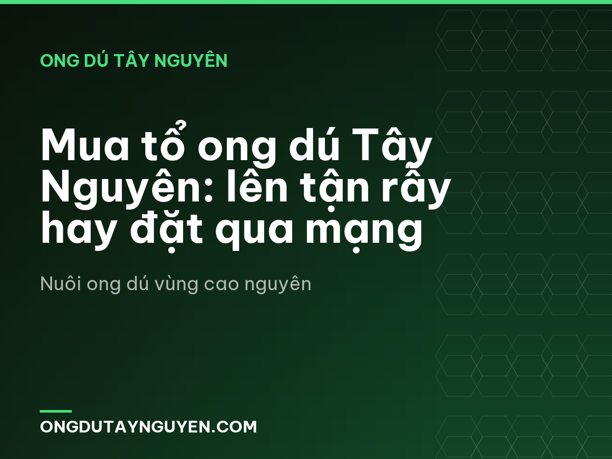 Mua tổ ong dú Tây Nguyên: lên tận rẫy hay đặt qua mạng