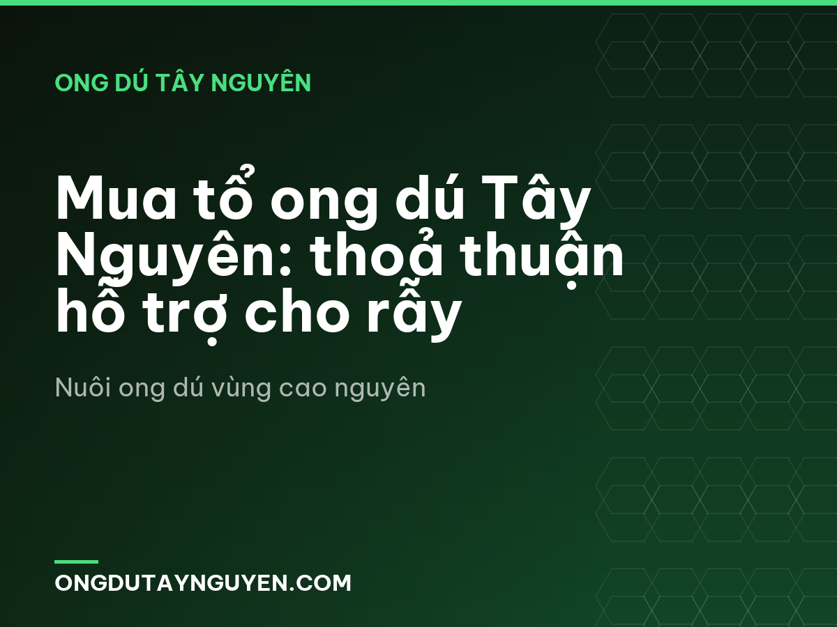 Mua tổ ong dú Tây Nguyên: thoả thuận hỗ trợ cho rẫy