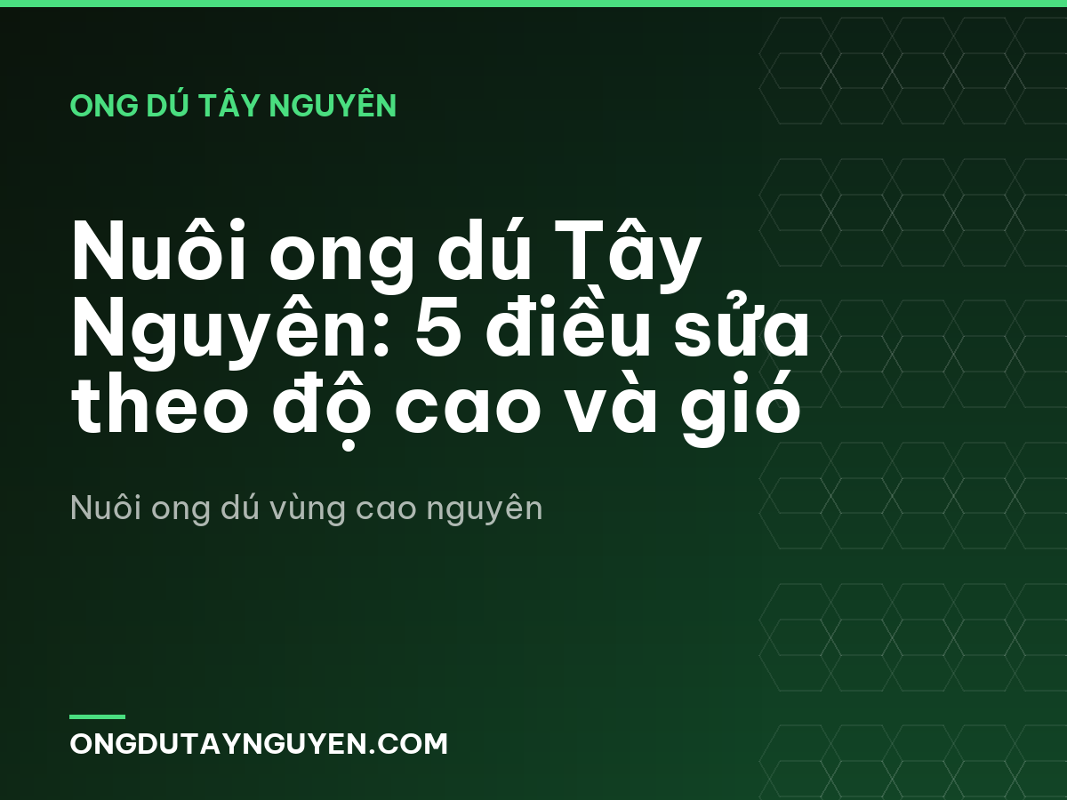 Nuôi ong dú Tây Nguyên: 5 điều sửa theo độ cao và gió