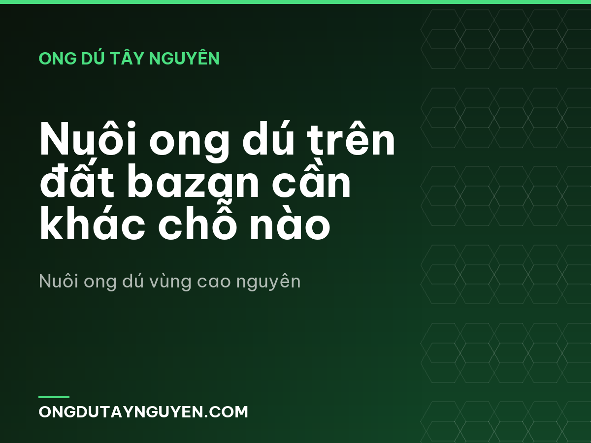 Nuôi ong dú trên đất bazan cần khác chỗ nào