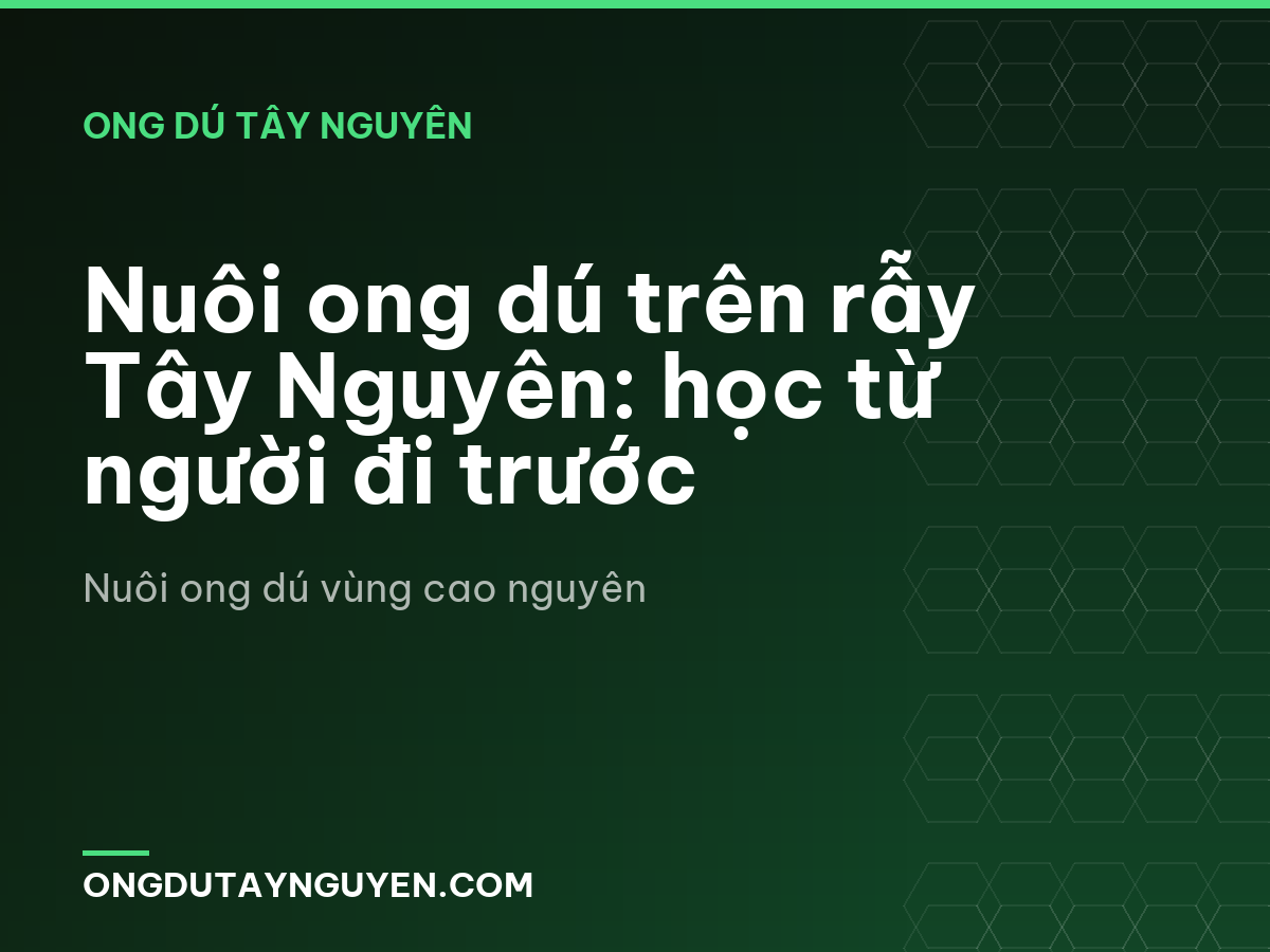 Nuôi ong dú trên rẫy Tây Nguyên: học từ người đi trước