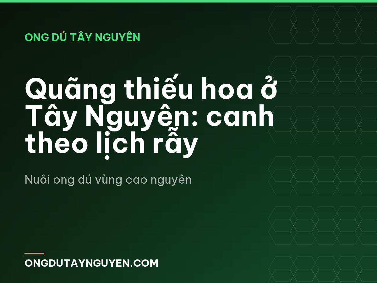 Quãng thiếu hoa ở Tây Nguyên: canh theo lịch rẫy