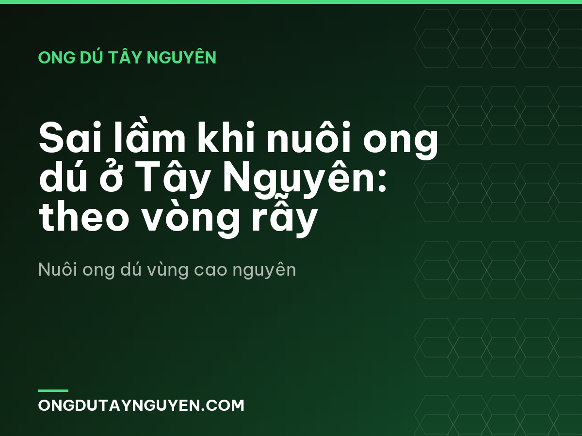 Sai lầm khi nuôi ong dú ở Tây Nguyên: theo vòng rẫy