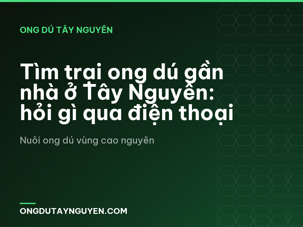 Tìm trại ong dú gần nhà ở Tây Nguyên: hỏi gì qua điện thoại