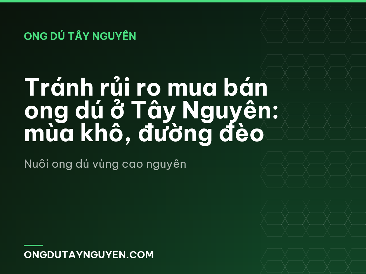 Tránh rủi ro mua bán ong dú ở Tây Nguyên: mùa khô, đường đèo