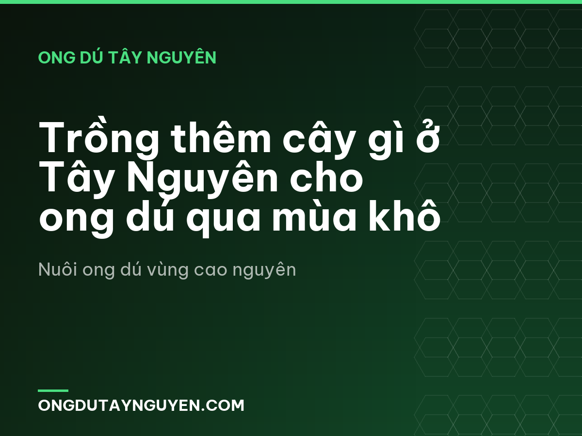 Trồng thêm cây gì ở Tây Nguyên cho ong dú qua mùa khô