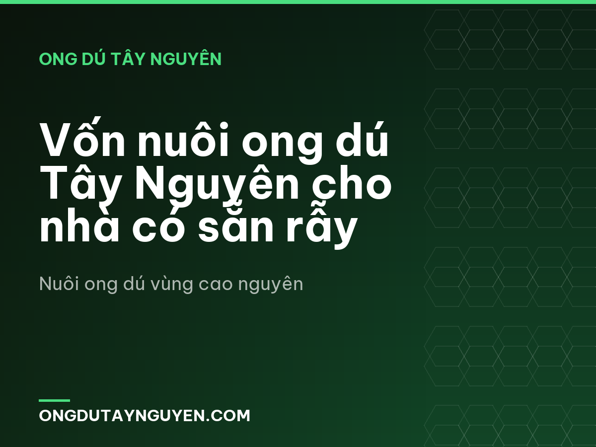 Vốn nuôi ong dú Tây Nguyên cho nhà có sẵn rẫy