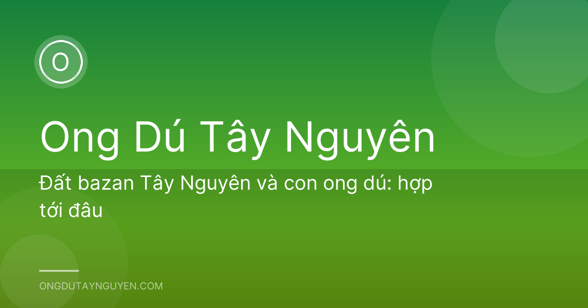 Đất bazan Tây Nguyên và con ong dú: hợp tới đâu