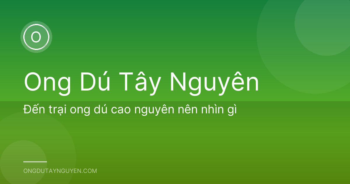 Đến trại ong dú cao nguyên nên nhìn gì