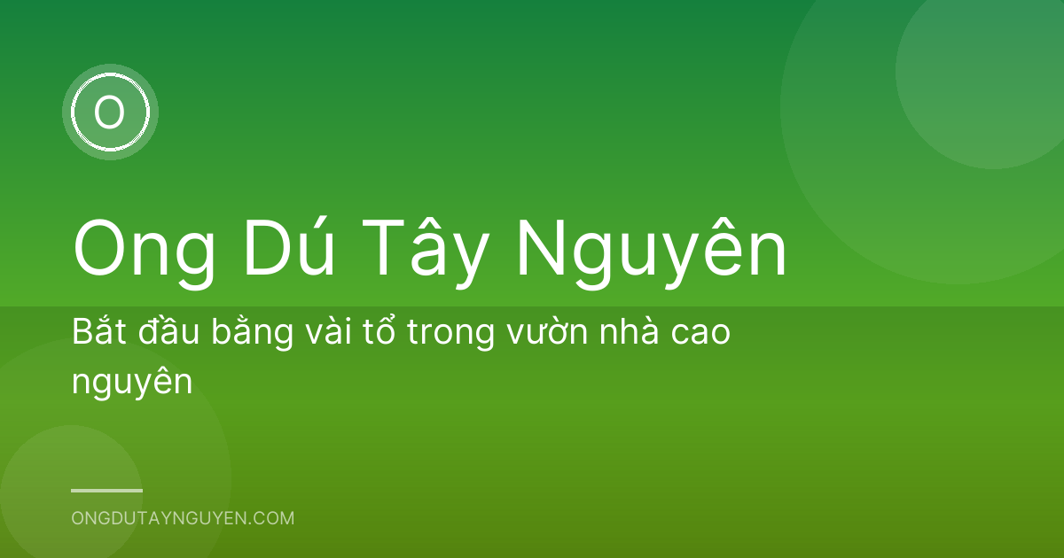 Bắt đầu bằng vài tổ trong vườn nhà cao nguyên