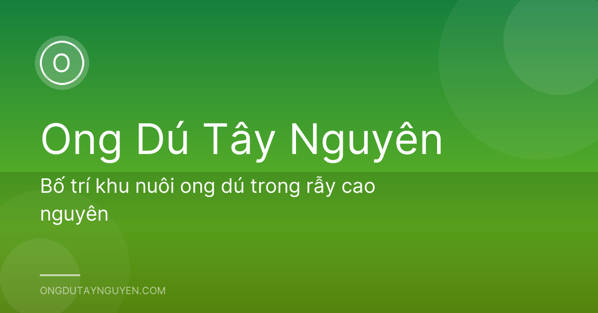 Bố trí khu nuôi ong dú trong rẫy cao nguyên
