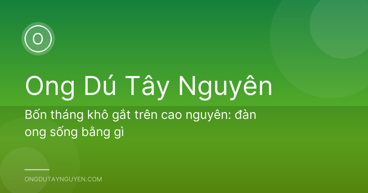 Bốn tháng khô gắt trên cao nguyên: đàn ong sống bằng gì