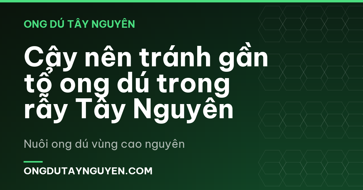 Cây nên tránh gần tổ ong dú trong rẫy Tây Nguyên