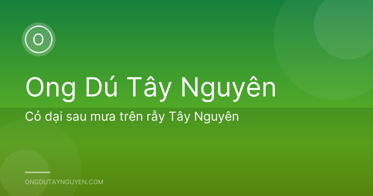 Cỏ dại sau mưa trên rẫy Tây Nguyên