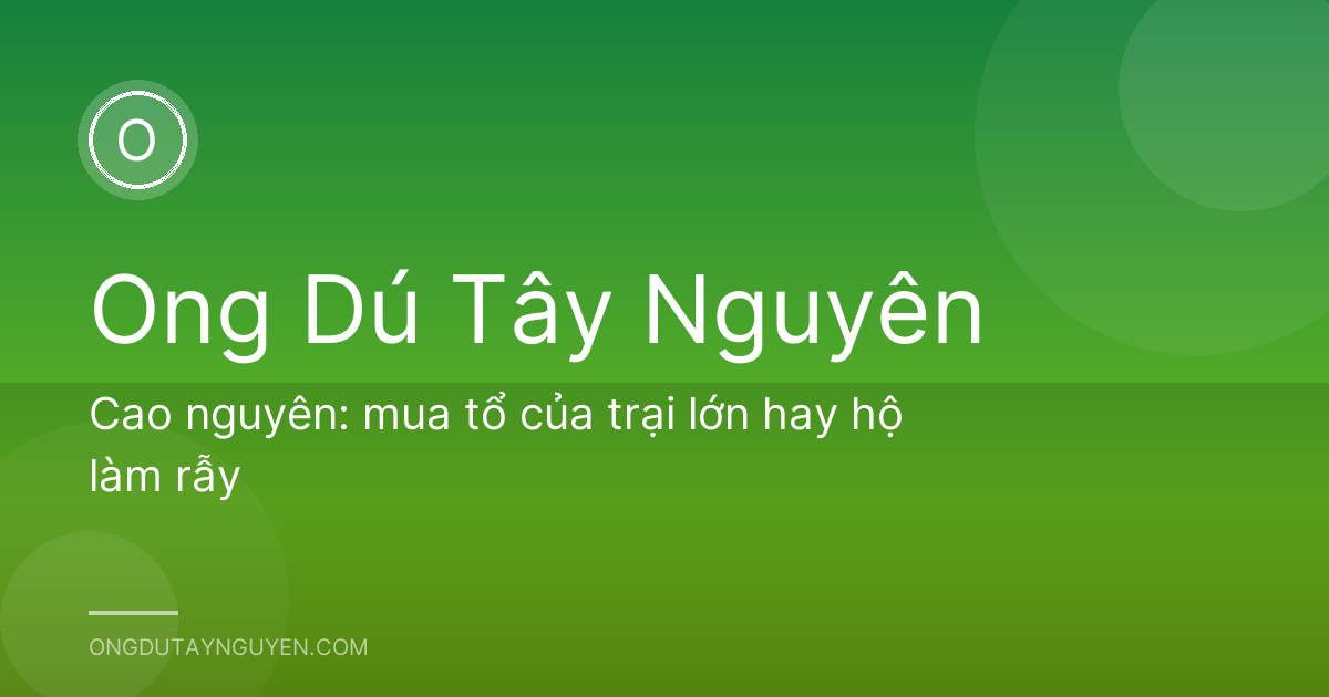 Cao nguyên: mua tổ của trại lớn hay hộ làm rẫy
