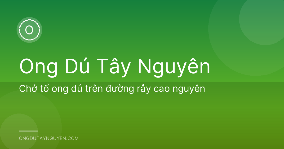 Chở tổ ong dú trên đường rẫy cao nguyên
