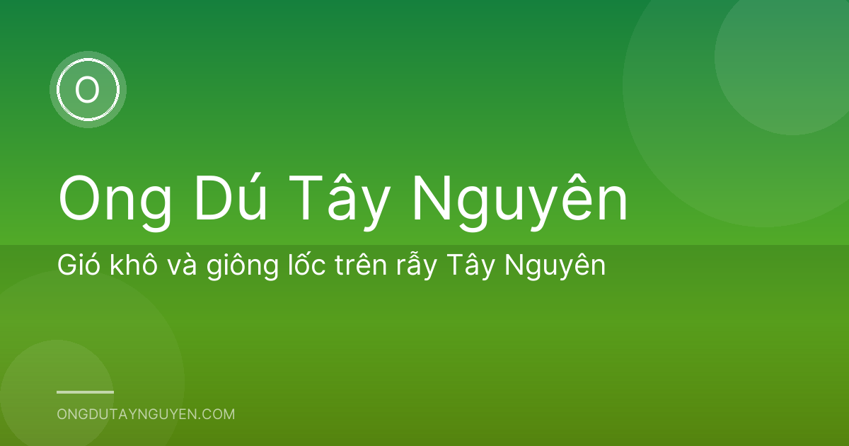 Gió khô và giông lốc trên rẫy Tây Nguyên