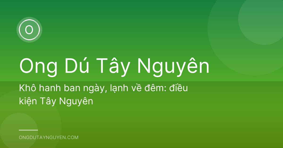 Khô hanh ban ngày, lạnh về đêm: điều kiện Tây Nguyên