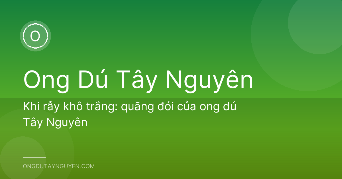 Khi rẫy khô trắng: quãng đói của ong dú Tây Nguyên