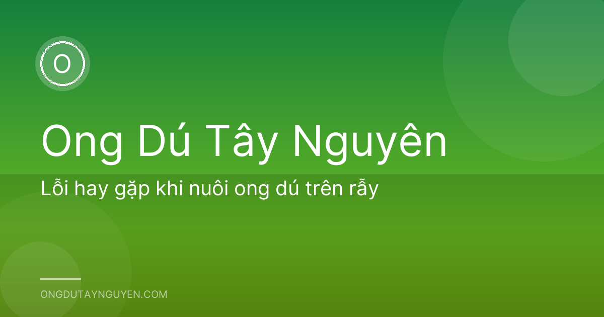 Lỗi hay gặp khi nuôi ong dú trên rẫy