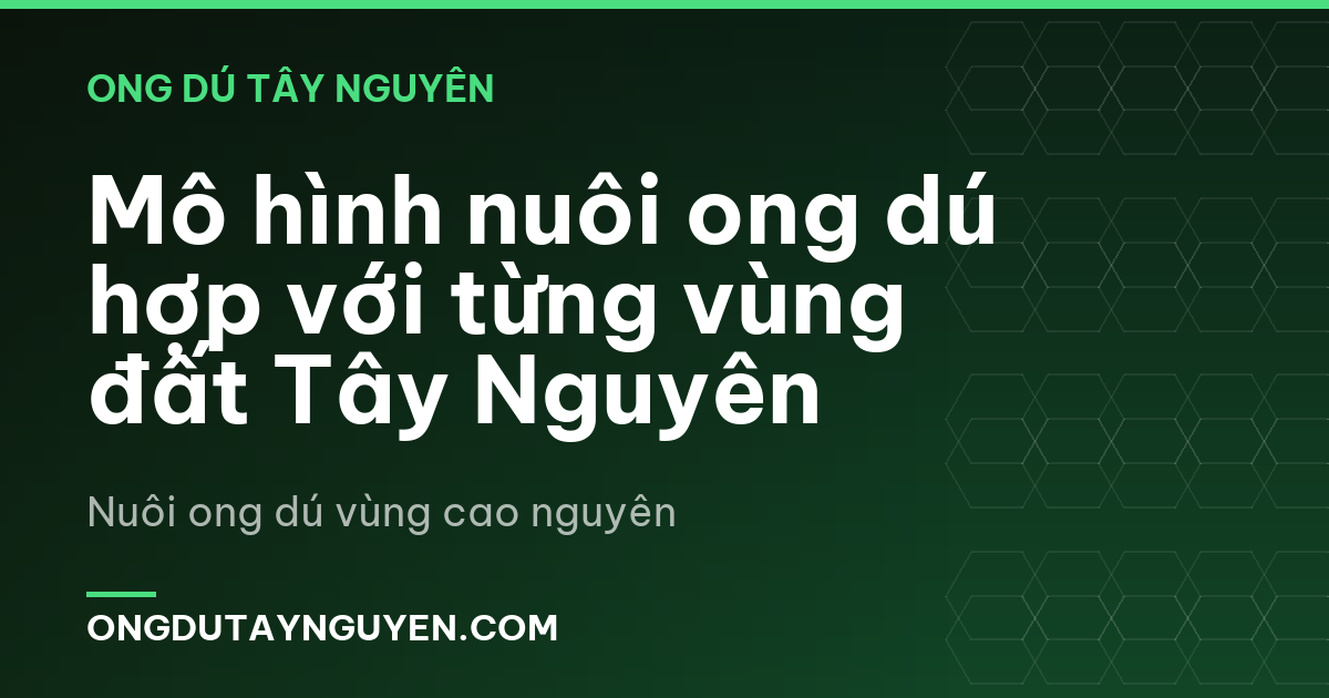 Mô hình nuôi ong dú hợp với từng vùng đất Tây Nguyên