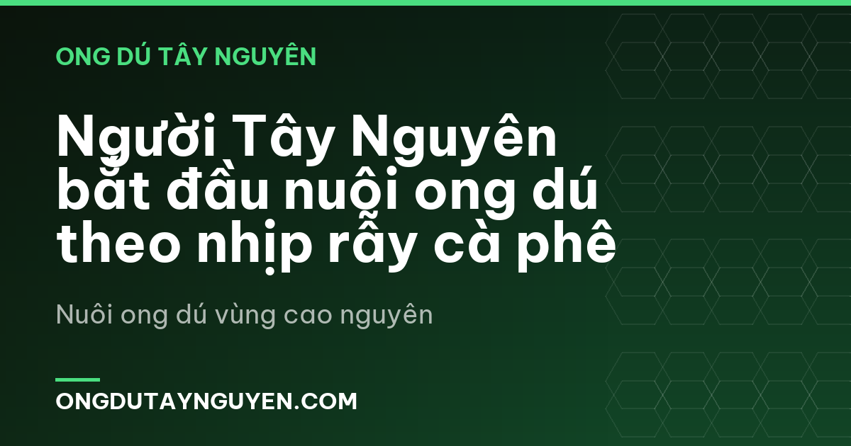 Người Tây Nguyên bắt đầu nuôi ong dú theo nhịp rẫy cà phê