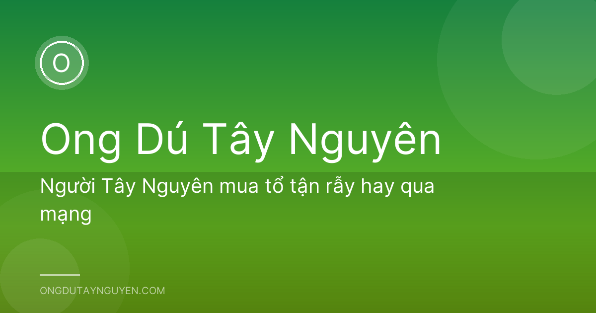 Người Tây Nguyên mua tổ tận rẫy hay qua mạng
