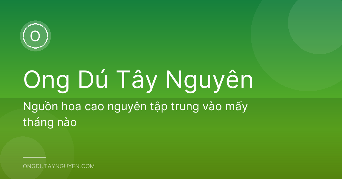 Nguồn hoa cao nguyên tập trung vào mấy tháng nào