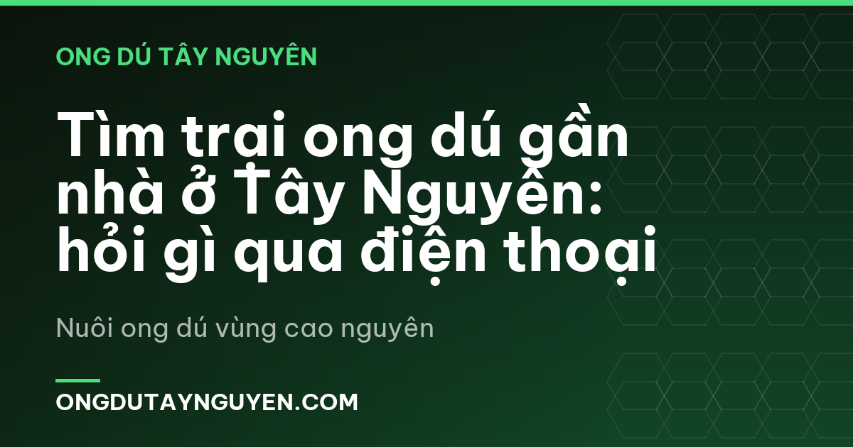Tìm trại ong dú gần nhà ở Tây Nguyên: hỏi gì qua điện thoại