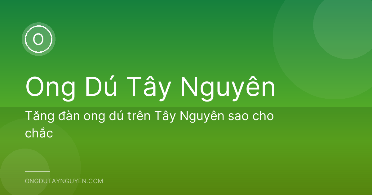 Tăng đàn ong dú trên Tây Nguyên sao cho chắc