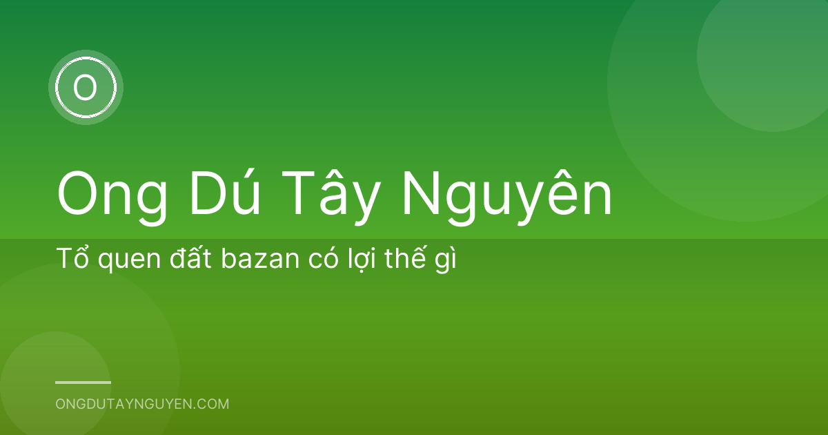 Tổ quen đất bazan có lợi thế gì