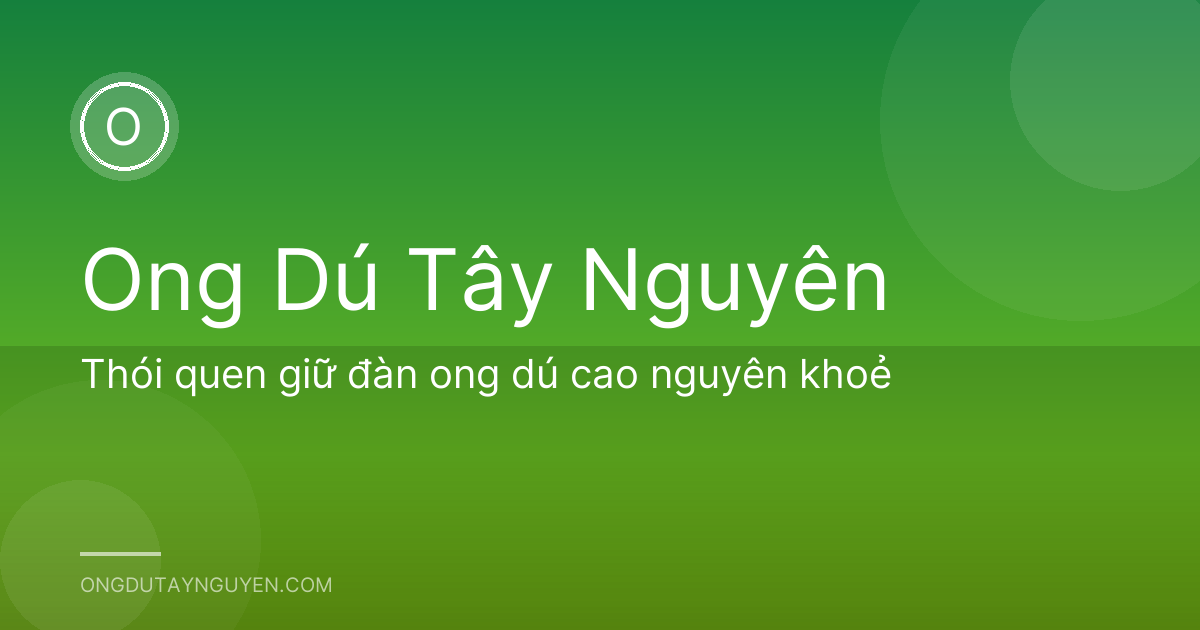 Thói quen giữ đàn ong dú cao nguyên khoẻ