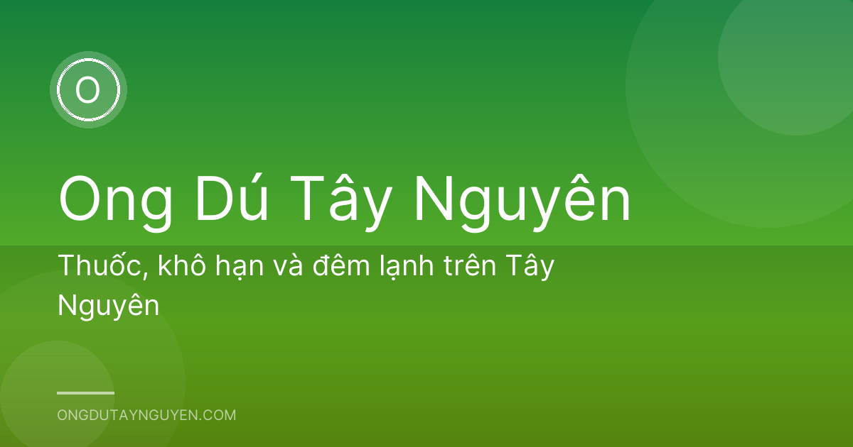 Thuốc, khô hạn và đêm lạnh trên Tây Nguyên