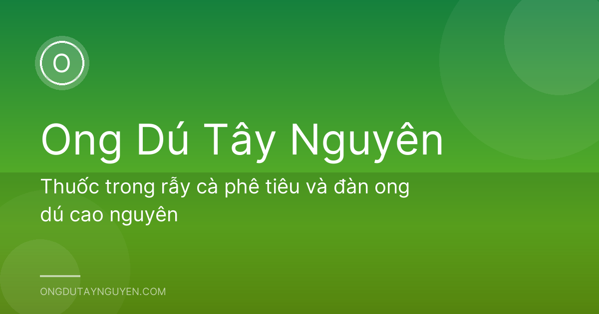 Thuốc trong rẫy cà phê tiêu và đàn ong dú cao nguyên